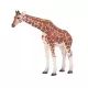 Mojo: Žirafa - ročno poslikana figura - .slika