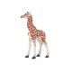 Mojo: Giraffa cucciolo - figura dipinta a mano - .immagine