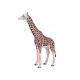 Mojo: Giraffa maschio - figura dipinta a mano - .immagine
