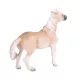 Mojo: Iapă Brumby - figurină pictată manual - .foto