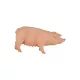 Mojo: Scrofa di maiale - figura dipinta a mano - .immagine