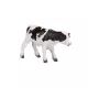 Mojo: Holstein kalf - handgeschilderd figuur, staand - .afbeelding