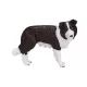 Mojo: Cane Border Collie - 7,5 cm - .immagine