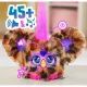 Interaktywna maskotka Furby Furblets - Chee-Chee - .zdjęcie 
