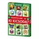 Bogyó és Babóca: Ki kicsoda? memóriajáték - . kép
