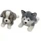 Plüsch-Welpe - 33 cm, verschiedene Modelle - . bild aus