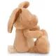 Nici Green: Ralf, plyšová figúrka zajačika - 25 cm - .Obrázok