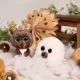 Nici: Peluche foca Boubelle - 15 cm - .immagine