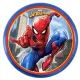 Weicher Frisbee mit Spiderman-Motiv – 20 cm - . bild aus