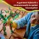 LEGO® NINJAGO® Smok Życia 71859 - .zdjęcie 