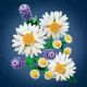 LEGO® Botanicals Margaridas 11508 - .Imagem