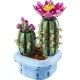 LEGO® Botanicals Fiorente Cactus 11509 - .immagine