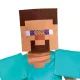 Minecraft: Steve Essentials kinderskostuum – XS maat - .afbeelding
