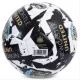 Newcastle United FC voetbal - maat 5, 2026 - .afbeelding