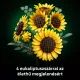 LEGO® Botanicals Buket Suncokreta 11502 - .slika