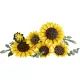 LEGO® Botanicals Buket Suncokreta 11502 - .slika