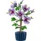 LEGO® Botanicals Ibišek 10372 - .obrázek