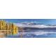 Clementoni: Hoge Kwaliteit Collectie: Panorama Wanaka gouden boom puzzel - 1000 stukjes - .afbeelding