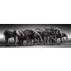High Quality Collection: Riesen-Elefantenherde Puzzle - 1000 Teile - . bild aus