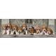 Clementoni: Puzzle panoramico Beagle - 1000 pezzi - .immagine