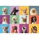 Clementoni: Sjove hundehoveder puslespil - 300 brikker - .billede