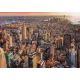 High Quality Collection: Puzzle - Sonnenuntergang über New York - 1000 Teile - . bild aus