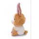 Nici: Paddy Bo, het pluchen konijntje - 15 cm - .afbeelding