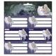 Northern Lights: Etichette per quaderni confezionate - 3 x 6 pz - .immagine