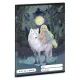 Northern Lights: Bilježnica s crtama - 2. razred, A5 - .slika