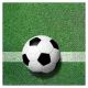 Servetten met voetbalmotief - set van 20 - .afbeelding