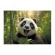 Pasta porta-documentos A5 com estampa de panda - .Imagem