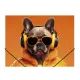 Gummimappe mit Hundemuster – A4 - . bild aus