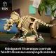 LEGO® Jurassic World Dinoszaurusz maradványok: Triceratops 77985 - . kép