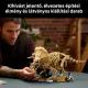 LEGO® Jurassic World Динозавърски останки: Трицератопс 77985 - . изображение