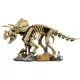 LEGO® Jurassic World Dinoszaurusz maradványok: Triceratops 77985 - . kép