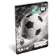Top League: gelinieerd schrift - A5-formaat, groep 3 - .afbeelding