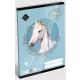 Wild Beauty: Caiet dictando – format A5, clasa a II-a - .foto