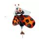 Eolo Mini pop-up windvlieger – lieveheersbeestje - .afbeelding
