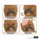 Star Wars: Chewbacca interaktív plüssfigura - 17 cm - . kép