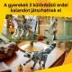 LEGO® Creator 3-in-1 Waldtiere: Grauer Wolf 31393 - . bild aus