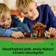 Atacul Evocatorului asupra satului LEGO® Minecraft® 21596 - .foto