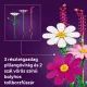 LEGO® Botanicals Kwiaty motyla 11514 - .zdjęcie 