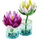 LEGO® Botanicals Ninfee Incantate 11511 - .immagine