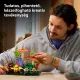 LEGO® Botanicals Leśne Grzyby 11505 - .zdjęcie 