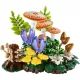 LEGO® Botaniskā kolekcija Meža sēnes 11505 - .attēls
