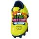 O mestre do futebol - Grandes recordes - .Imagem