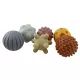 Sensorische ontwikkelingsballen - set van 6 - .afbeelding