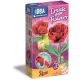 Kit de criação de rosas perfumadas - .Imagem