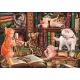 Clementoni: Nieuwsgierige Katjes Compact Puzzel 1000 stukjes - .afbeelding