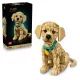 LEGO Icons: Golden Retriever 11384 AMBALAJ DETERIORAT - .foto